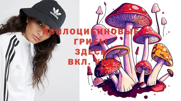 ешки Нея