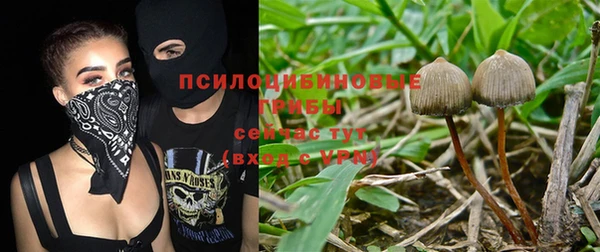 PSILOCYBIN Алексин